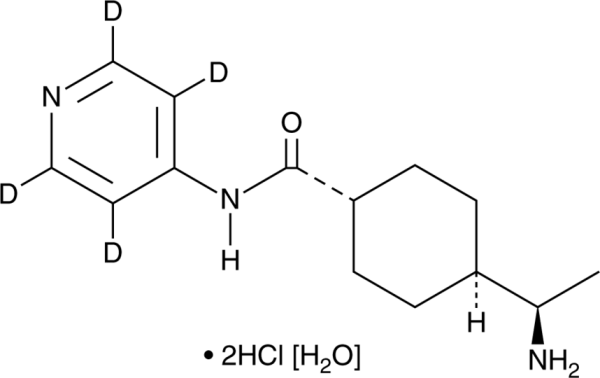 Y-27632-d4 (hydrochloride hydrate)