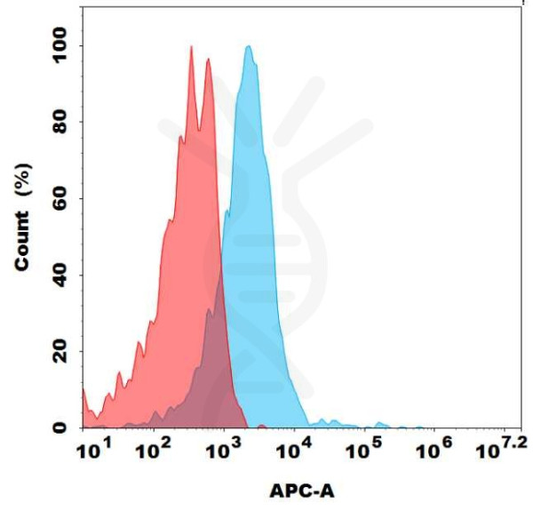 Anti-GPR75, clone 12B6, Rabbit mAb, biotinylated