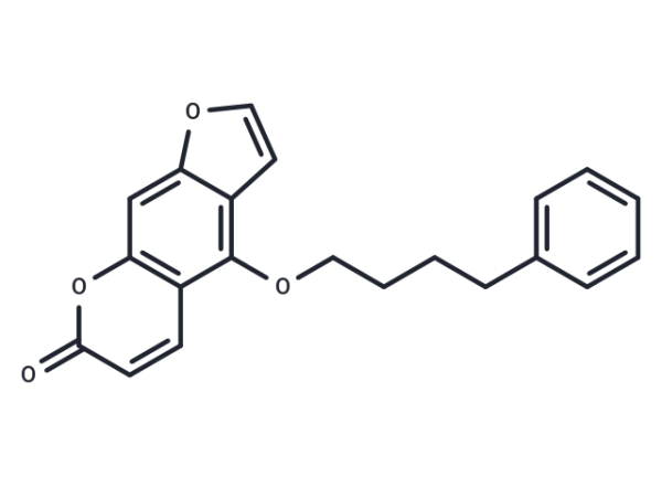 Psora 4