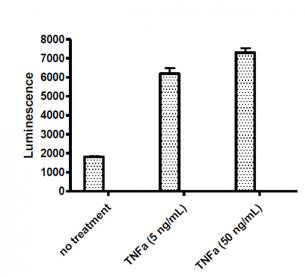 IL-8 Promoter Luciferase Reporter Lentivirus