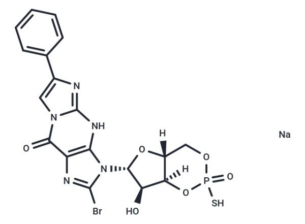 Rp-8-Br-PET-cGMPS