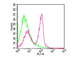 Anti-CD3 epsilon [ARMENIAN HAMSTER] Fluorescein Conjugated, clone 145-2C11, Fluorescein Conjugated