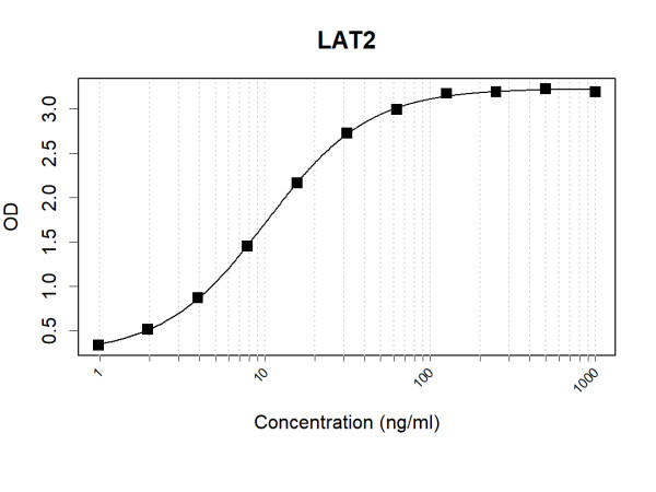 Anti-Human LAT2 Antibody Pair