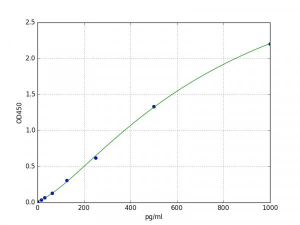 Human C19ORF10 / SF20 ELISA Kit