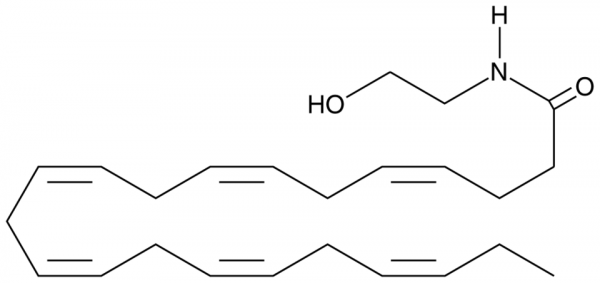 Docosahexaenoyl Ethanolamide