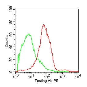 Anti-CD37 (Peripheral Mature B-Cell Marker), clone IPO-24
