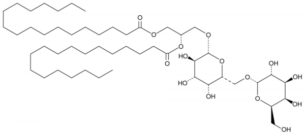 Digalactosyldiacylglyceride (hydrogenated) (plant)