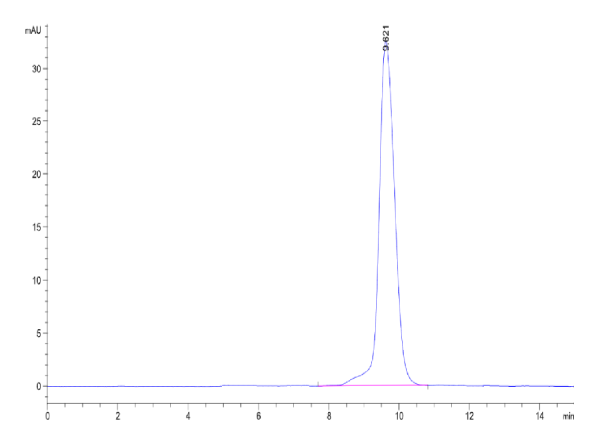 Human Activin RIIA/ACVR2A Protein