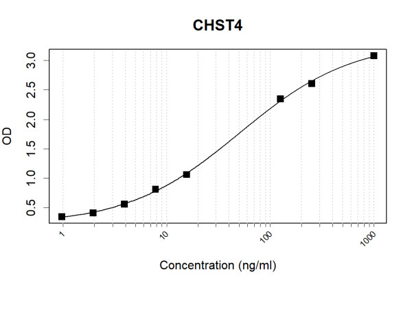 Anti-Human CHST4 Antibody Pair