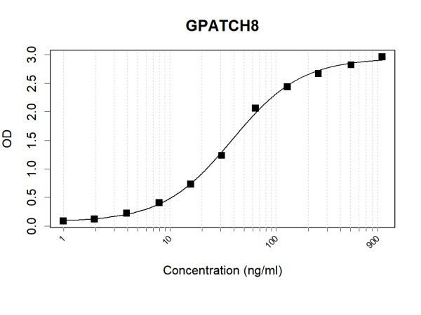 Anti-Human GPATCH8 Antibody Pair