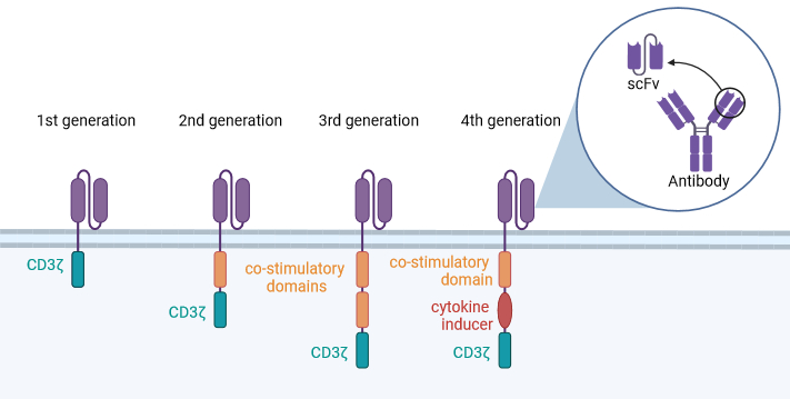 CART-T_Cells_Generations