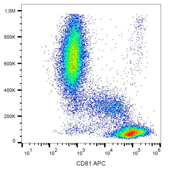 Anti-CD81 (APC), clone M38