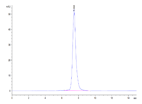 PRLR hFc Chimera, Canine