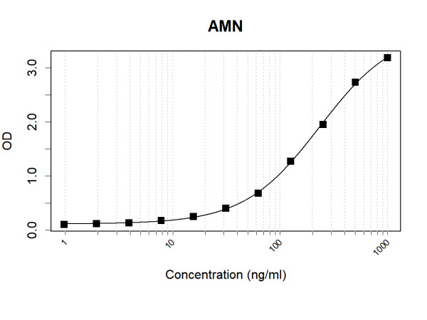 Anti-Human AMN Antibody Pair