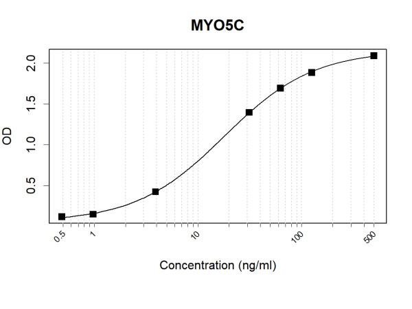 Anti-Human MYO5C Antibody Pair