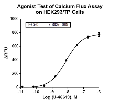 HEK293/TP Stable Cell Line