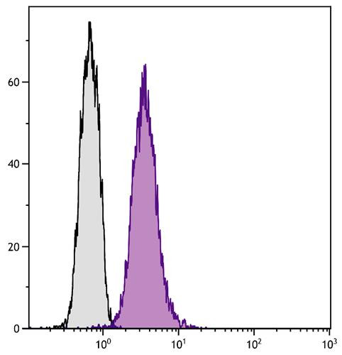 Anti-CD107b (FITC), clone ABL-93