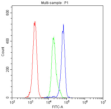 Anti-CD46