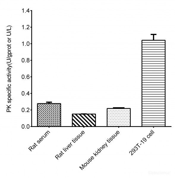 Pyruvate Kinase (PK) Activity Assay Kit
