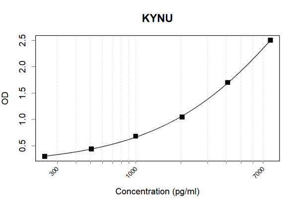 Anti-Human KYNU Antibody Pair