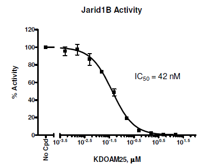 JARID1B (KDM5B) Chemiluminescent Assay Kit