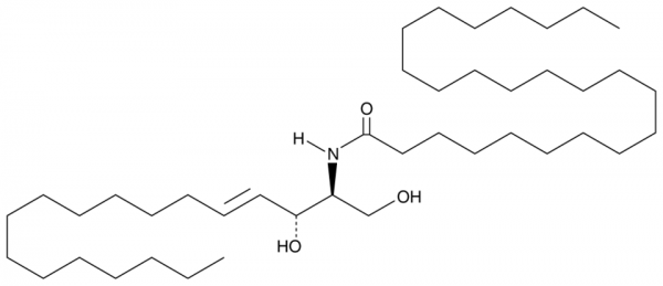 C24 Ceramide (d18:1/24:0)