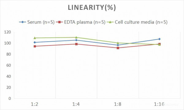 Mouse OC/BGP (Osteocalcin) CLIA Kit