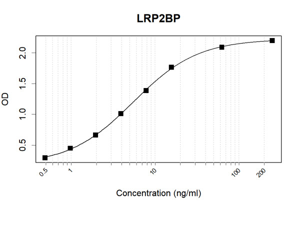 Anti-Human LRP2BP Antibody Pair