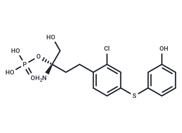 SPM-242