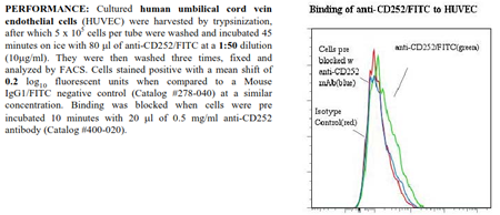 Anti-CD252 [OX40L] (human), clone ANC10G1, FITC conjugated