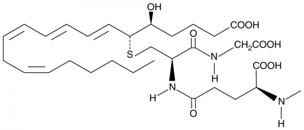 N-methyl Leukotriene C4