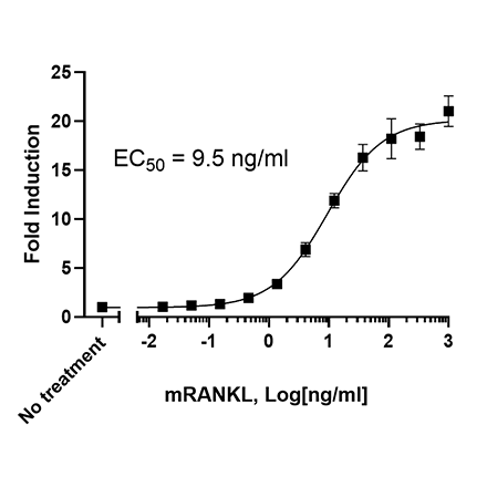 AP1 Luciferase Reporter RAW264.7 Cell Line