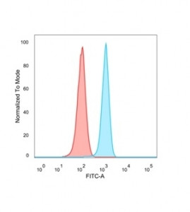 Anti-FRA2 / FOSL2, clone PCRP-FOSL2-1B1