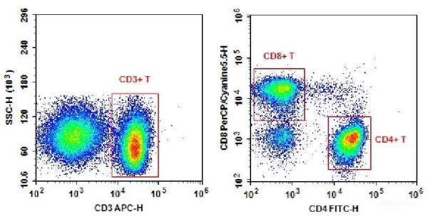 Anti-Human CD3-APC/CD4-FITC/CD8a-PerCP-Cyanine5.5 [OKT-3,RPA-T4,OKT-8]