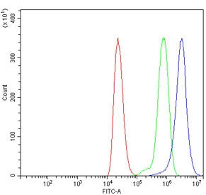 Anti-Tubulin-specific chaperone A / TBCA / CFA