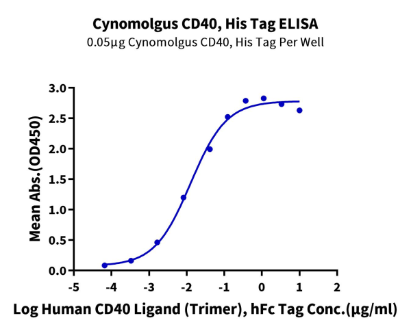 Cynomolgus CD40/TNFRSF5 Protein