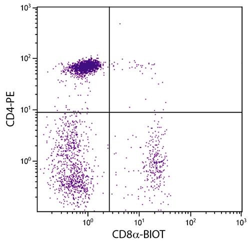 Anti-CD8a (Biotin), clone CT-8