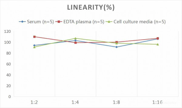Human IFN-gamma (Interferon Gamma) CLIA Kit