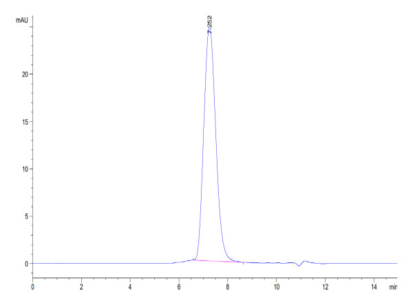 Human B7-2/CD86 Protein