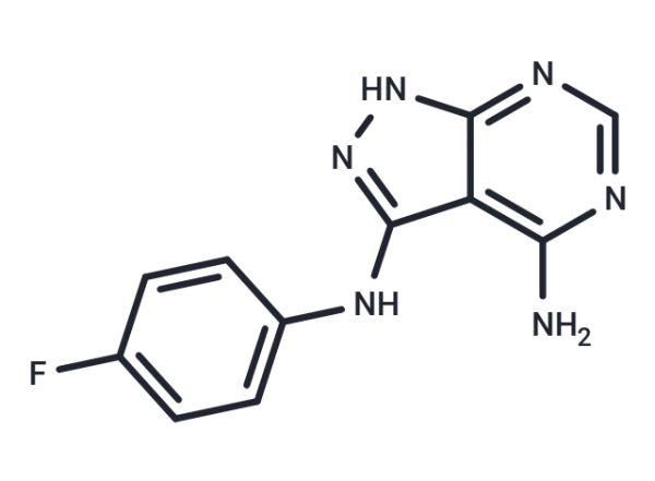 CGP 57380