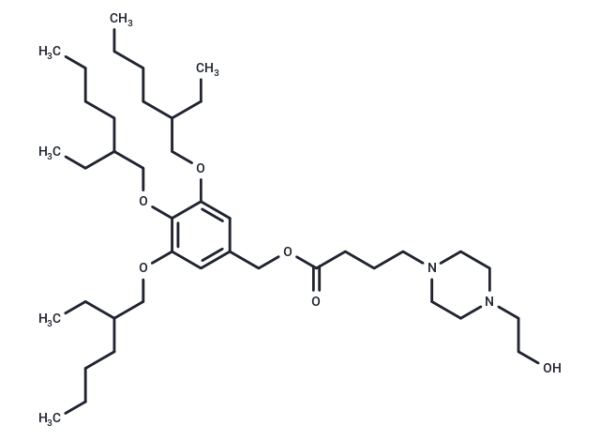 IAJD97