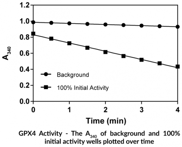 GPX4 Inhibitor Screening Assay Kit