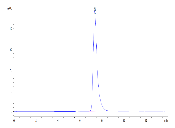 Human CD13/ANPEP Protein