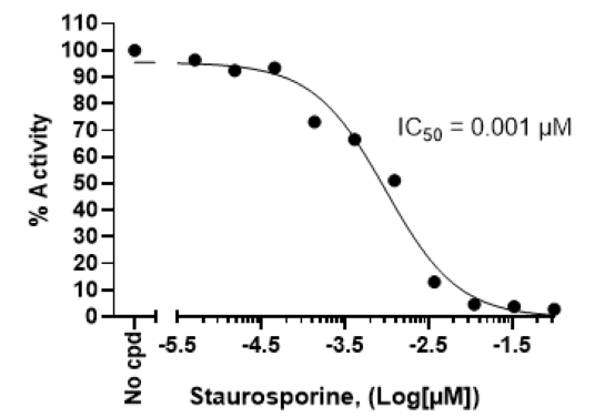 Chemi-Verse(TM) TNK1 Kinase Assay Kit