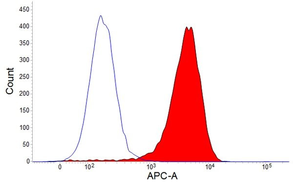 Anti-CSF-1R (APC), clone ROS8G11