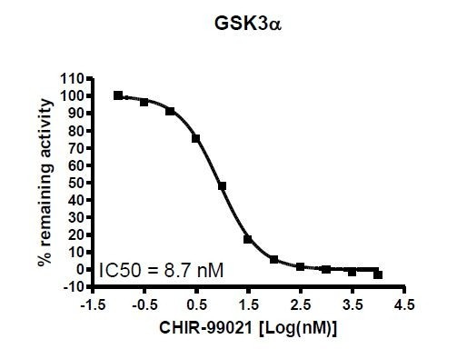 GSK3alpha Assay Kit
