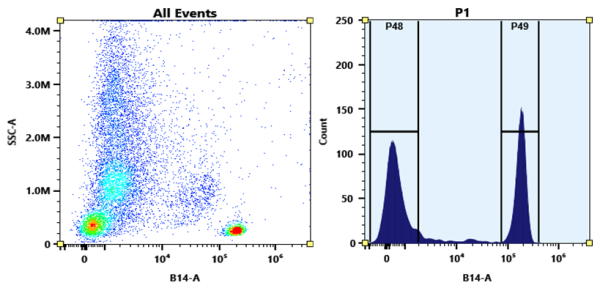 Buccutite(TM) Rapid PE-Cy7 Tandem Antibody Labeling Kit *Production Scale Optimized for Labeling 1 m