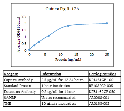 IL-17A (guinea pig) Do-It-Yourself ELISA