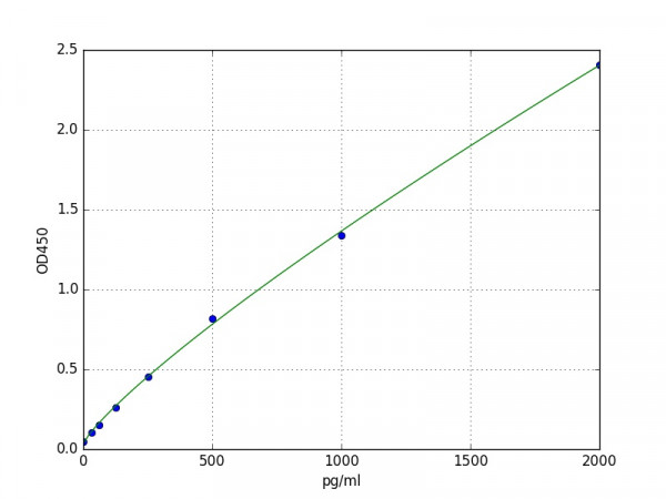 Human FGF1 / FGF acidic ELISA Kit
