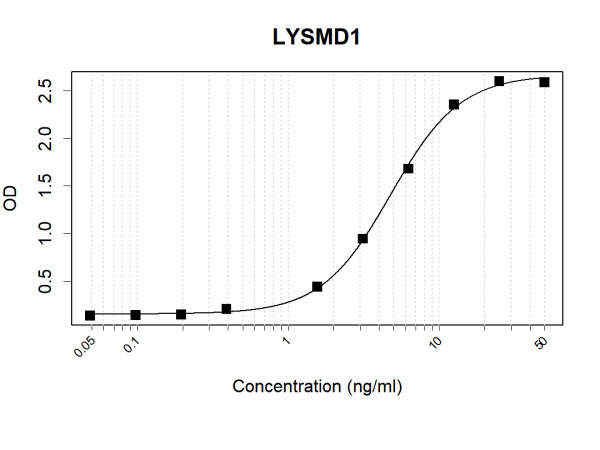 Anti-Human LYSMD1 Antibody Pair